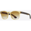 AO 1004 Sunglasses, Yellow Crystal Tortoise Frame, SunVogue Brown Gradient AOLite Nylon Lenses, Polarized, 51-18-145, 004151ST--BGN-P