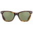 USED AO Saratoga Sunglasses, Tortoise, Calobar Green AOLite Nylon Lenses, Polarized, 52-19-145 B42, SAR152ST--GNN-P, EDEMO1
