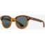AO Times Sunglasses, Chestnut Sand Frame, True Color Gray AOLite Nylon Lenses, Polarized, 47-21-145, TIM147ST--GYN-P