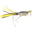 Arbogast Hula Popper Topwater Popper, 2in, 3/8 oz, Floating, Coachdog Orange Bel, G760-09