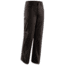 Arc'teryx Bastion Pant - Men's-Graphite-Regular Inseam-30 Waist