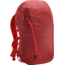Arc'teryx Sebring 25 L Backpack-Buckeye