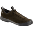 Arcteryx Acrux SL Leather GTX Approach Shoes - Mens, Wren/Teak, 8, 21140-322500-8