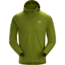 ArcTeryx Adahy Hoody- Mens, Archipelago