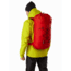 Arcteryx Alpha FL 40 Backpack, Dynasty, Regular, 440532
