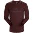 Arcteryx ArcWord T-Shirt Ls - Mens, Flux, Extra Large, 396776