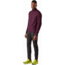 Arcteryx Argus Jacket - Mens, Rhapsody, Medium, 437250
