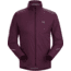 Arcteryx Argus Jacket - Mens, Rhapsody, Medium, 437250