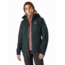 Arcteryx Beta AR Jacket - Womens, Enigma, Small, 437683