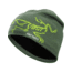 Arc'teryx Bird Head Toque, Shorepine/Titanite, 352948