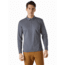 Arcteryx Captive LS Polo - Mens, Cinder, Large, 438217