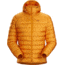 Arc'teryx Cerium LT Hoody - Men's, Quantum, Extra Small, 434903