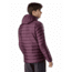 Arcteryx Cerium LT Hoody - Mens, Rhapsody, Medium, 434908