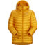 Arcteryx Cerium LT Hoody - Womens, Quantum, Large, 415332