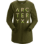 Arcteryx Cluster T-Shirt Ls - Womens, Bushwhack, Extra Large, 396550