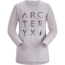 Arcteryx Cluster T-Shirt Ls - Womens, Morganite, Small, 396543