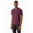 Arcteryx Cormac Logo SS - Mens, Rhapsody, Extra Small, 437388