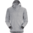 Arcteryx Covert Hoody - Mens, Pegasus, Extra Small, 348282