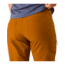 Arcteryx Creston Pant - Womens, Theanine, 0, 376099
