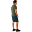 Arcteryx Creston Short 11 Inch - Mens, Light Labyrinth, 38 Waist, 375888