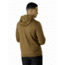 Arcteryx Dallen Fleece Hoody - Mens, Griz, Medium, 394946