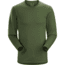 ArcTeryx Dallen Fleece Pullover- Mens, Larix, Medium, 372384