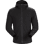 Arc'teryx Delta LT Hoody - Men's, Black, Medium, 375381