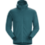 Arcteryx Delta LT Hoody - Mens, Paradigm, Medium, 414920