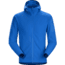 Arcteryx Delta LT Hoody - Mens, Shimizu, Large, 414911