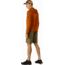 Arcteryx Delta LT Hoody - Mens, Timbre, 2XL, 414940