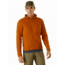 Arcteryx Delta LT Hoody - Mens, Timbre, 2XL, 414940