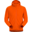 Arc'teryx Delta LT Hoody - Men's, Trail Blaze, Medium, 375357