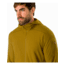 Arcteryx Delta LT Hoody - Mens, Yukon, 2XL, 375377
