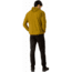 Arcteryx Delta LT Hoody - Mens, Yukon, 2XL, 375377