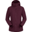 Arcteryx Delta LT Hoody - Womens, Rhapsody, Medium, 434321