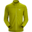 Arcteryx Delta LT Jacket - Mens, Olive Amber, Small, 351956