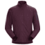 Arcteryx Delta LT Jacket - Mens, Rhapsody, Extra Large, 435962