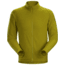ArcTeryx Delta LT Jacket- Mens, Yukon, Large, 375404