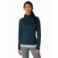 Arcteryx Delta MX Hoody - Womens, Labyrinth, Large, 415518