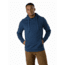 Arcteryx Elgin Hoody - Mens, Nereus Heather, Small, 395019