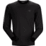 Arcteryx Iridine Crew Long Sleeve - Mens-Black-Large