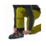 Arcteryx Iser Pant - Mens, Olive Amber, 38 Waist, Regular Inseam, 350736