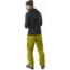 Arcteryx Iser Pant - Mens, Olive Amber, 38 Waist, Regular Inseam, 350736
