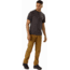 Arcteryx Lefroy Pant - Mens, Elk, 28, Regular, 417131