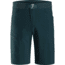 Arc'teryx Lefroy Short - Men's, Labyrinth, 28 Waist, 398136