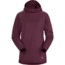 Arcteryx Motus AR Hoody - Womens, Rhapsody Heather, Medium, 442223