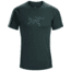 Arcteryx Phasic Evolution Crew Shirt with Short Sleeve - Mens, Labyrinth, Medium, 398174