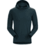 Arc'teryx Phasic Sun Hoody - Men's, Labyrinth, Large, 376760