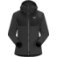 Arcteryx Practitioner AR Hoody - Womens, Carbon Copy, Large, 356180