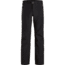 Arcteryx Sabre LT Pant - Mens, 24K Black, Small, 436488